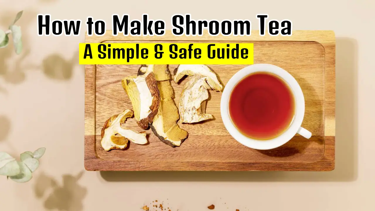How to Make Shroom Tea: A Simple & Safe Guide