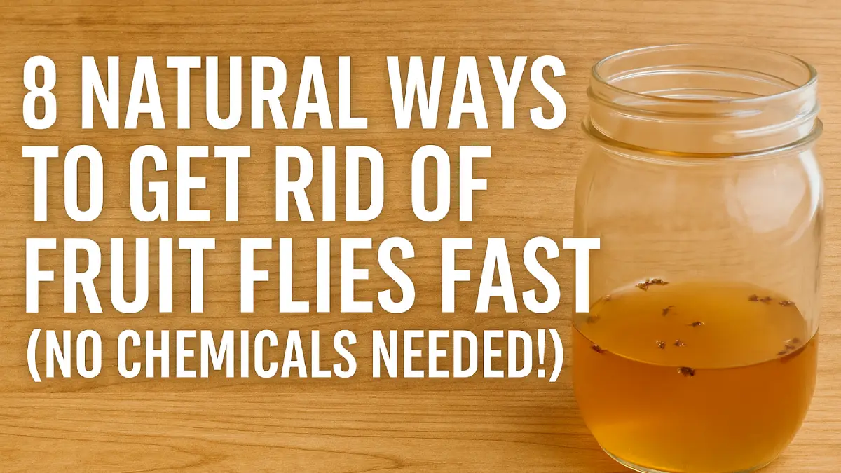 How to Get Rid of Fruit Flies Naturally, 8 Proven Ways (No Chemicals Needed!)